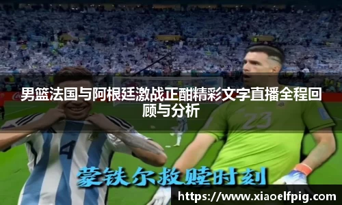 男篮法国与阿根廷激战正酣精彩文字直播全程回顾与分析