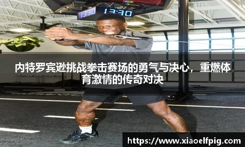 内特罗宾逊挑战拳击赛场的勇气与决心，重燃体育激情的传奇对决